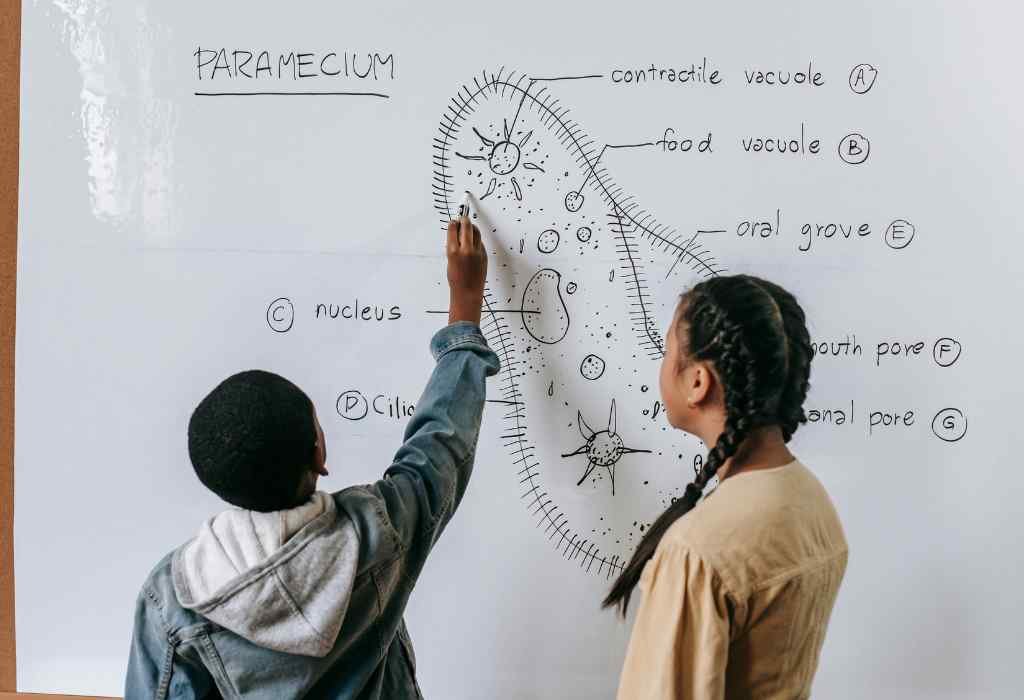 Daniel Gallego 4 - Biology Tutor